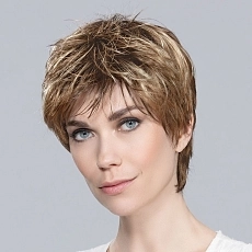 Fair lightbernstein rooted.jpg